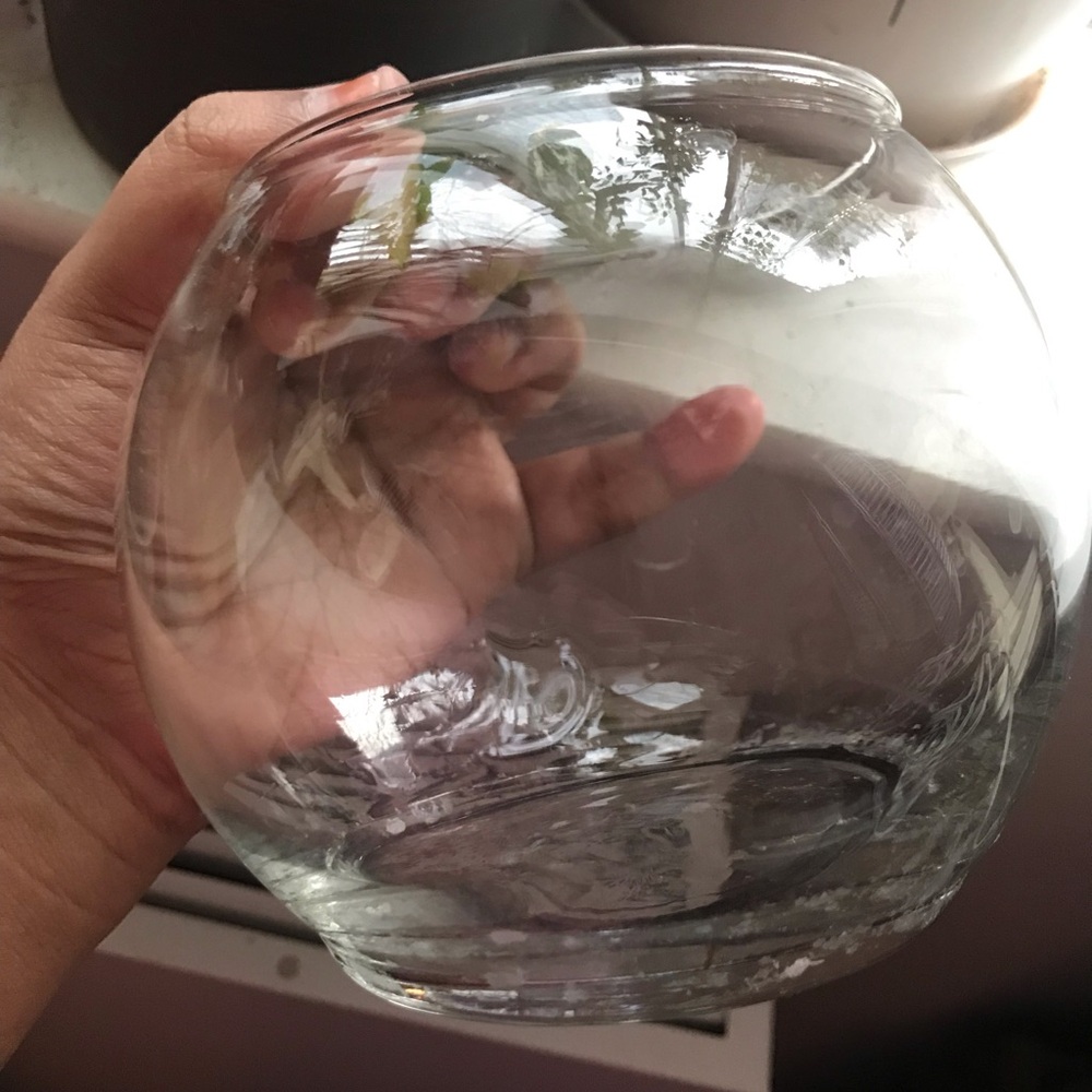 Clear Glass Bowl